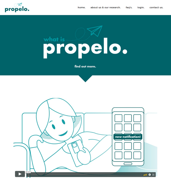 portfolio-large-image